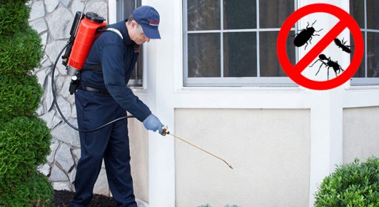 Akseki Dezenfeksiyon böcek ilaçlama ve haşere kontrolü — ilaclama-tr.com